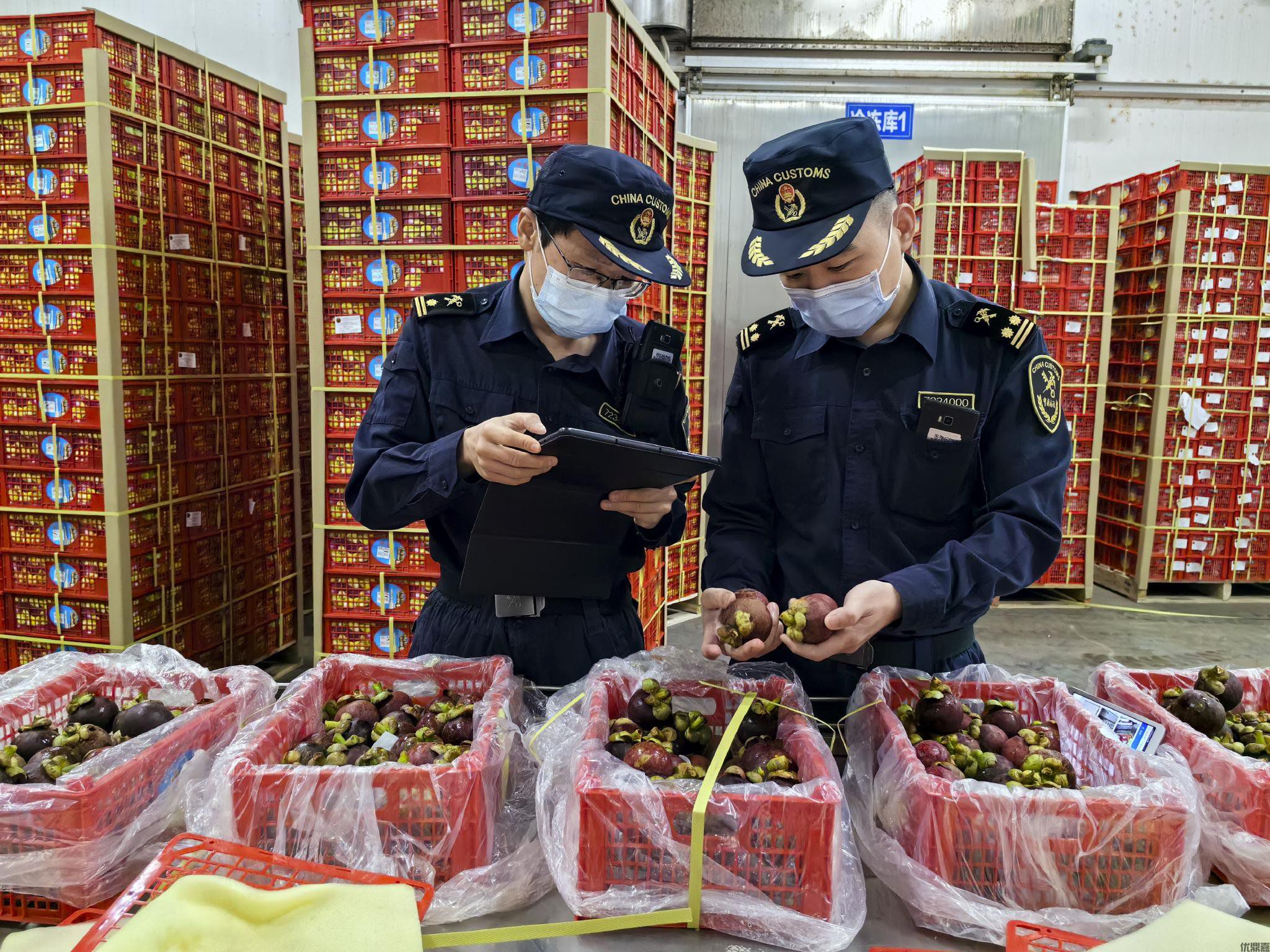 5分钟掌握进口水果报关全流程