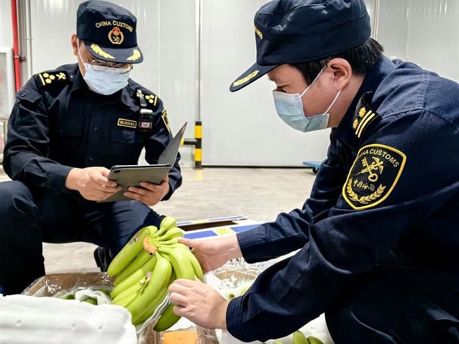 香蕉进口清关必看!5步高效通关攻略