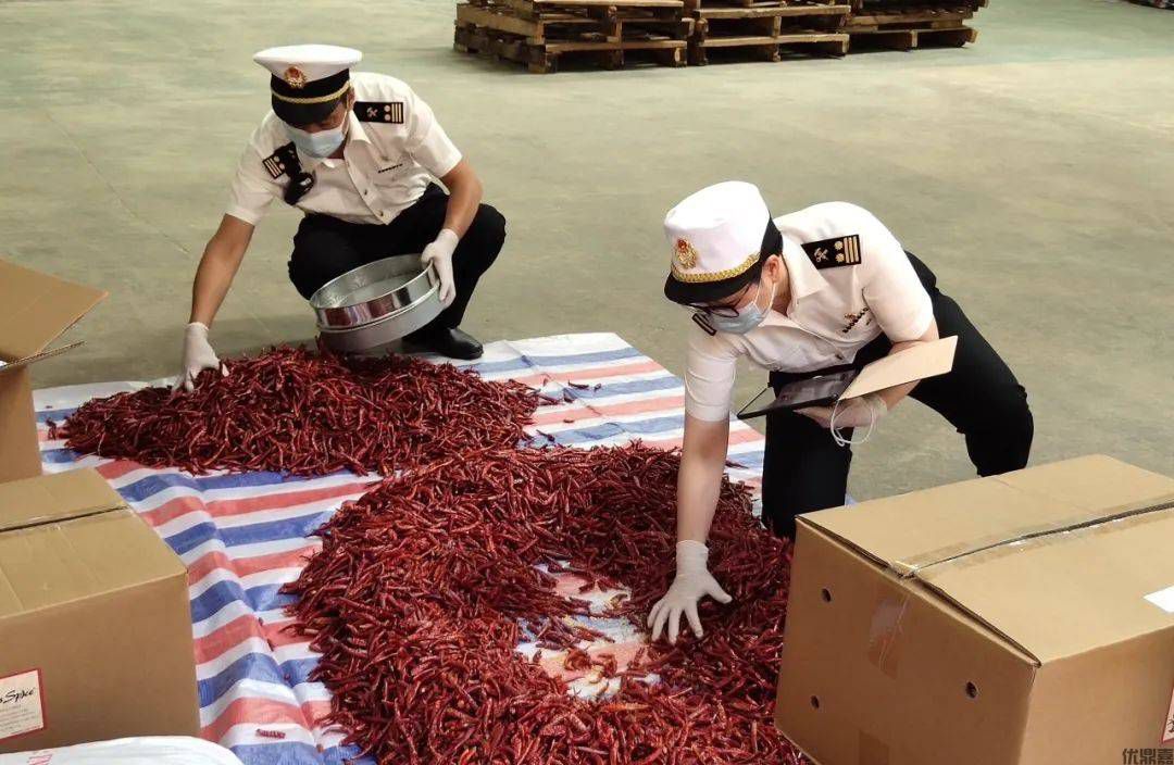“辣”么出色,出口报关代理助你辣味事业腾飞
