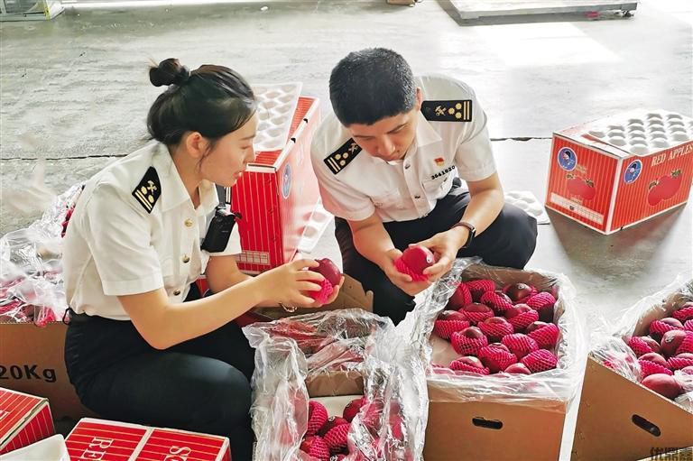 苹果出口报关全攻略:避开这些雷区让你轻松通关