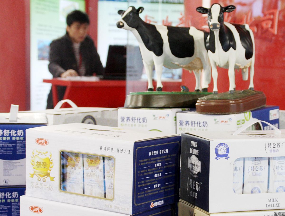 乳制品进口清关代理:保障“乳”此重要的关键环节