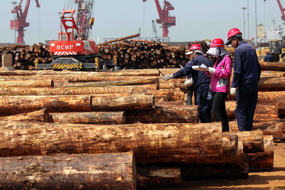 进口木材清关全流程:从资质准备到检疫重点
