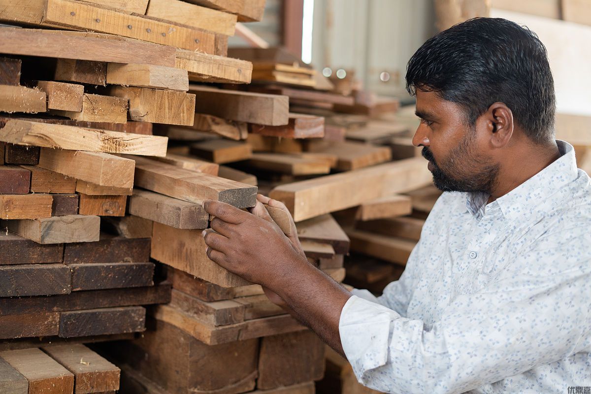 木材进口代理报关:你必须知道的流程秘籍