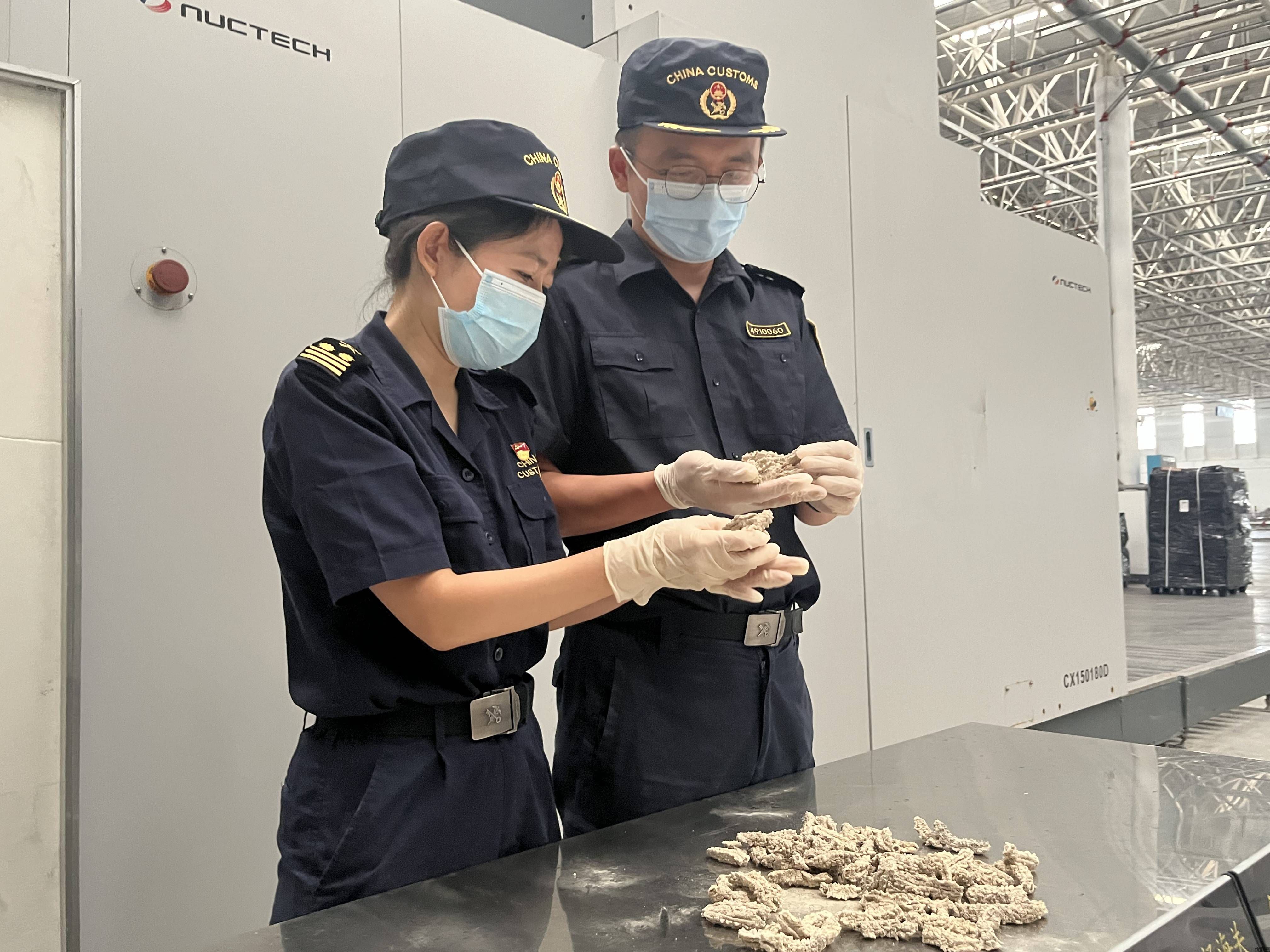 上海海参进口清关:连接世界的海味桥梁