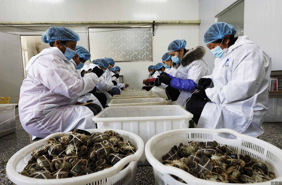 大闸蟹出口报关全流程揭秘