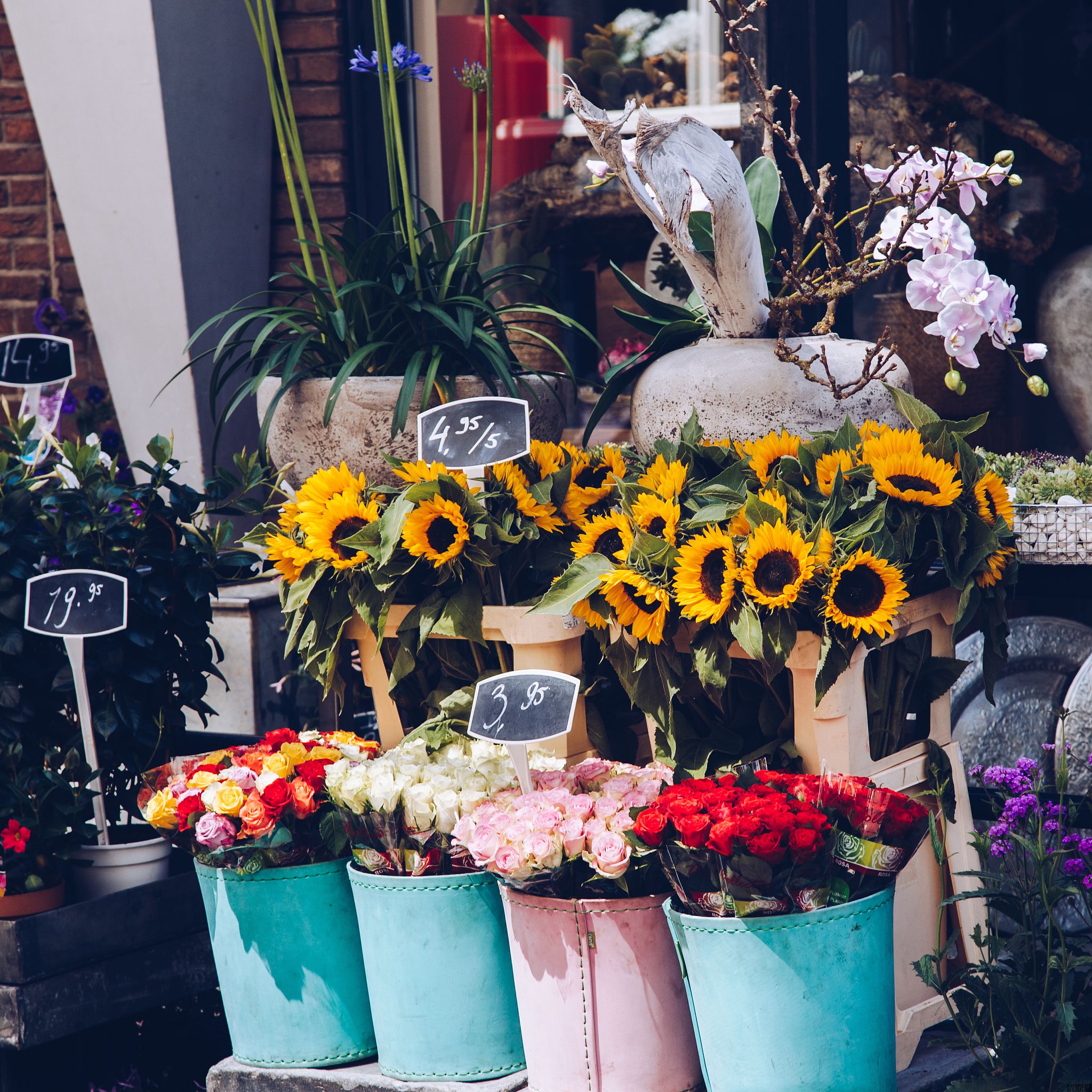 进口花材的奢侈品之路:北京代理如何玩转千亿级鲜花市场