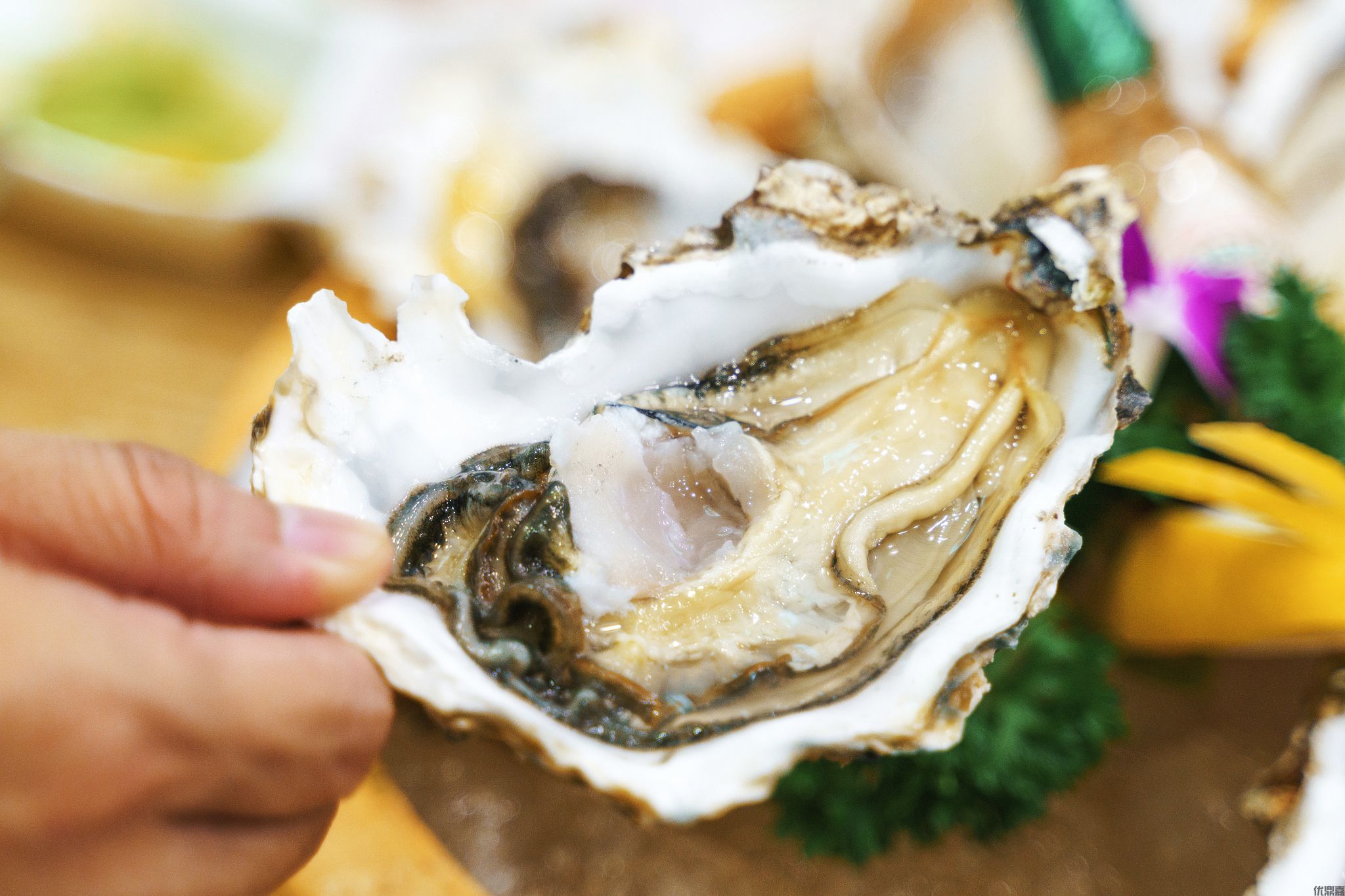 生蚝进口报关代理:优鼎嘉为鲜美生蚝保驾护航