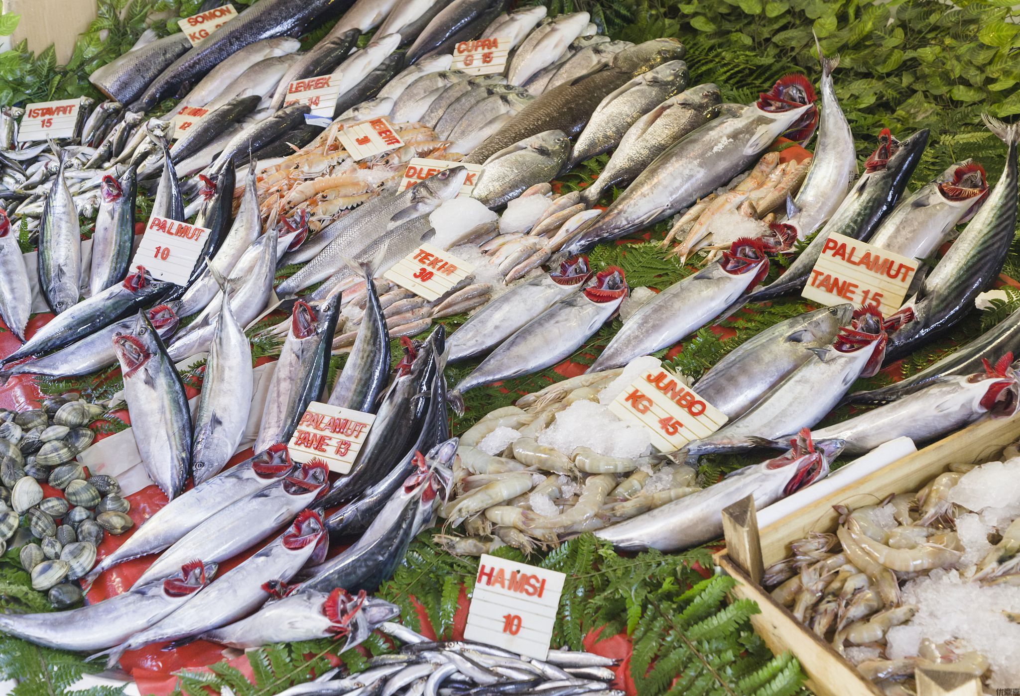 出口澳新水产品全攻略:避开这些坑,轻松拿